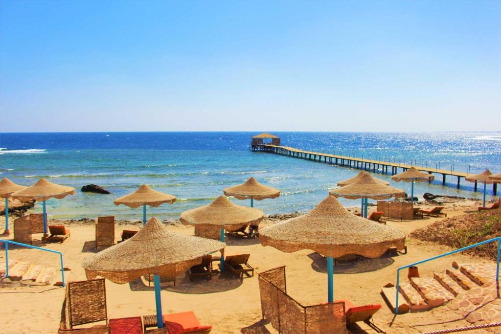 Гарячі тури в готель Rohanou Beach Resort Марса Алам Єгипет