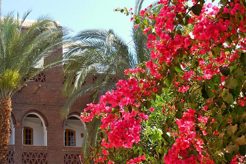 Hotel Sheherazade, Egipt, Luksor, wakacje, zdjęcia i recenzje