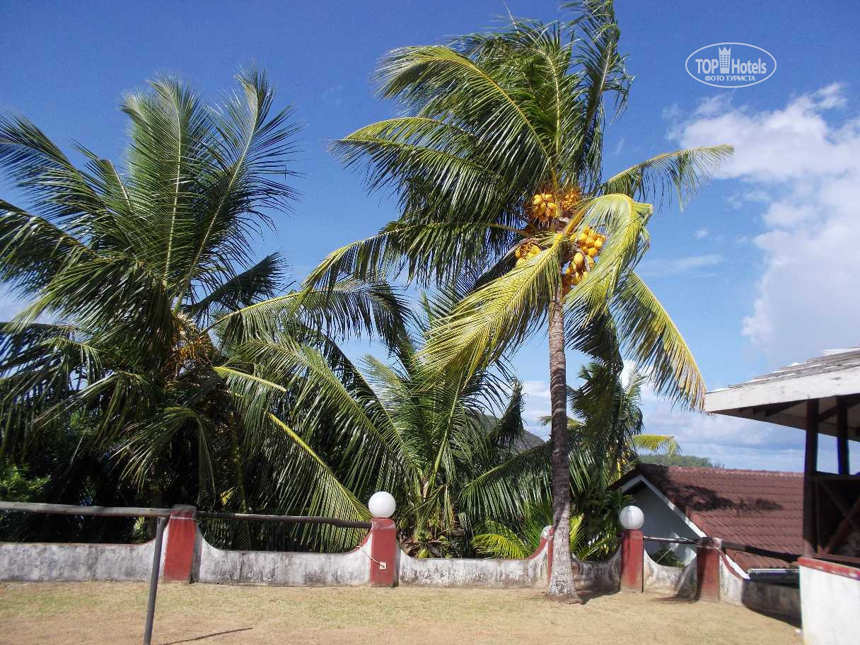 Edens Holiday Villas, Сейшелы, Маэ (остров), туры, фото и отзывы