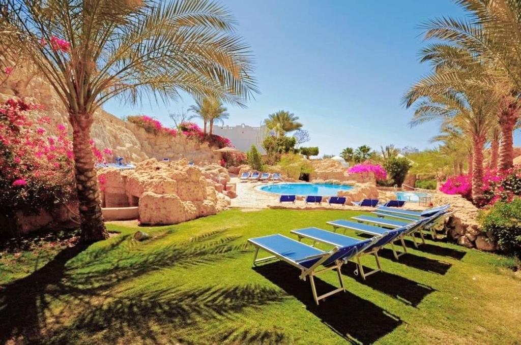 Туры в отель Domina Coral Bay Sultan Шарм-эль-Шейх Египет