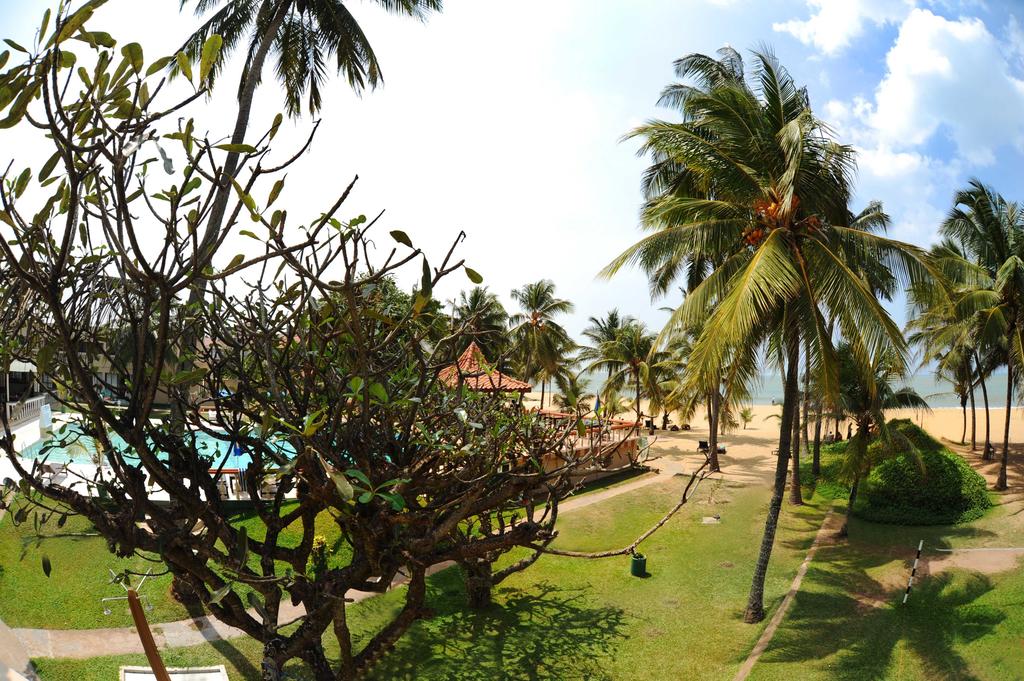 Golden Star Beach Hotel, Negombo, Sri Lanka, zdjęcia z wakacje