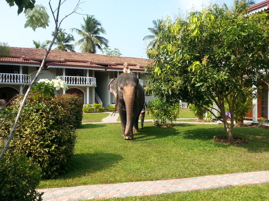 Bougain Villa Guest, Bentota, Sri Lanka, zdjęcia z wakacje