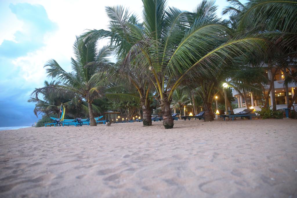 Oasey Beach Sri Lanka ceny