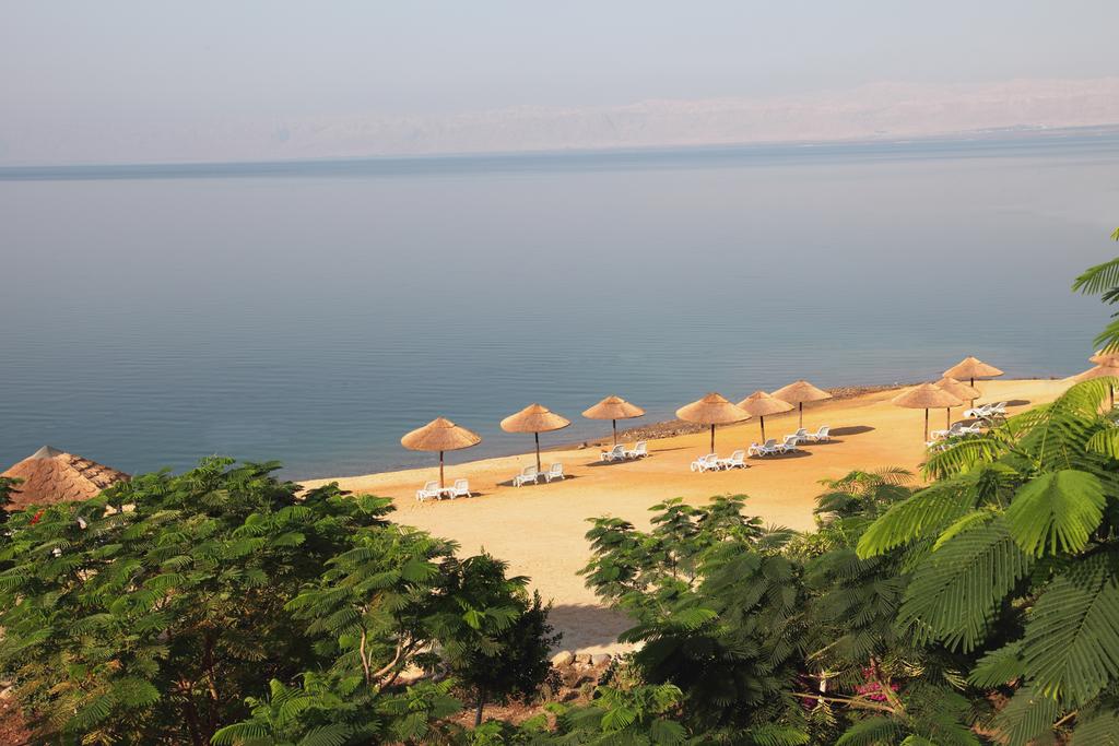 Туры в отель Holiday Inn Dead Sea Мёртвое море