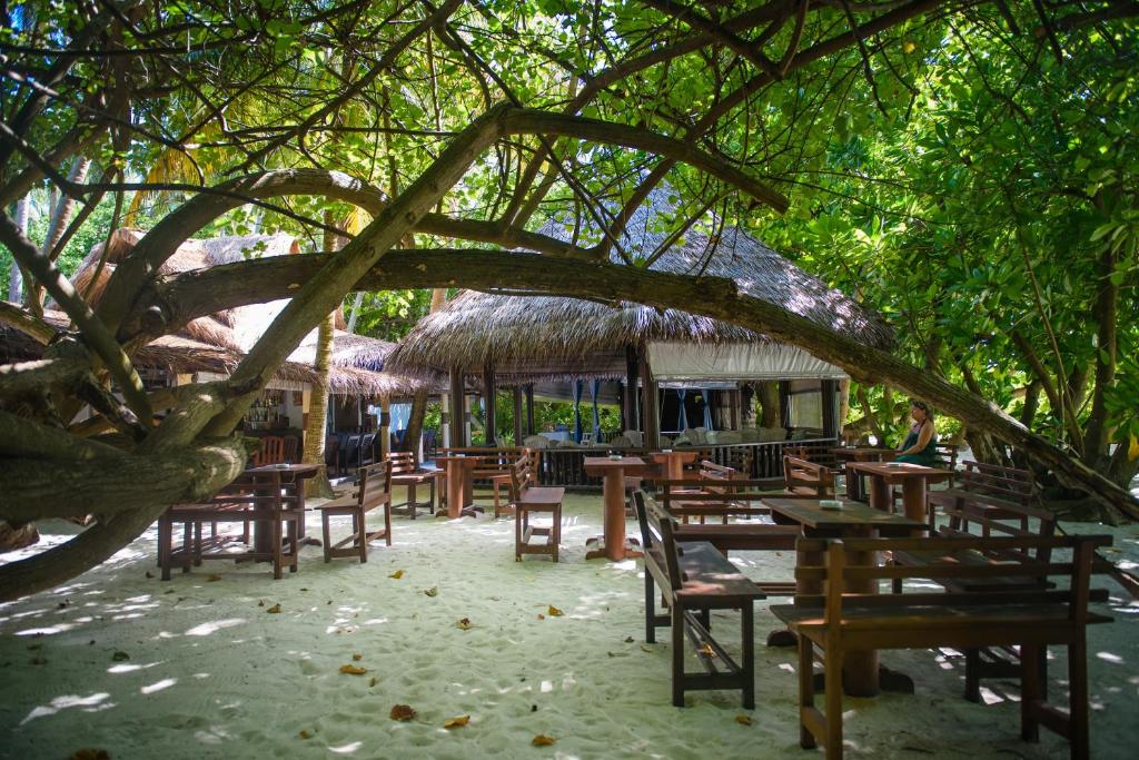 Tours to the hotel Biyadhoo Island Resort South Male Atoll