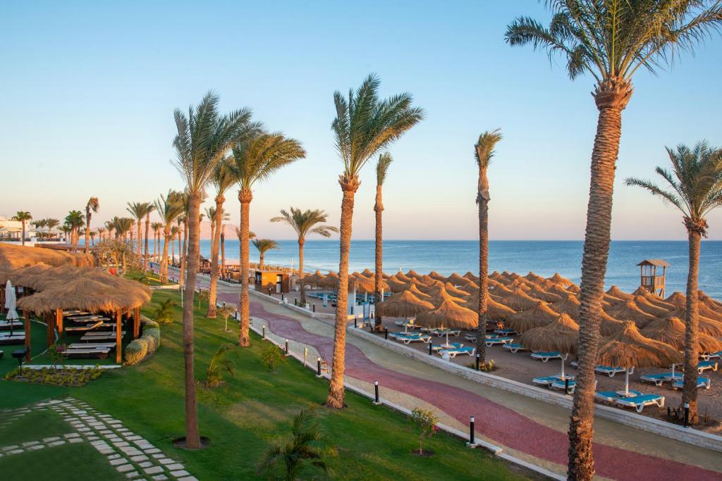 Sunrise Remal Beach Resort, Egipt, Szarm el-Szejk, wakacje, zdjęcia i recenzje