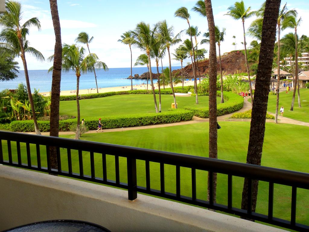 Sheraton Maui Resort & Spa США цены