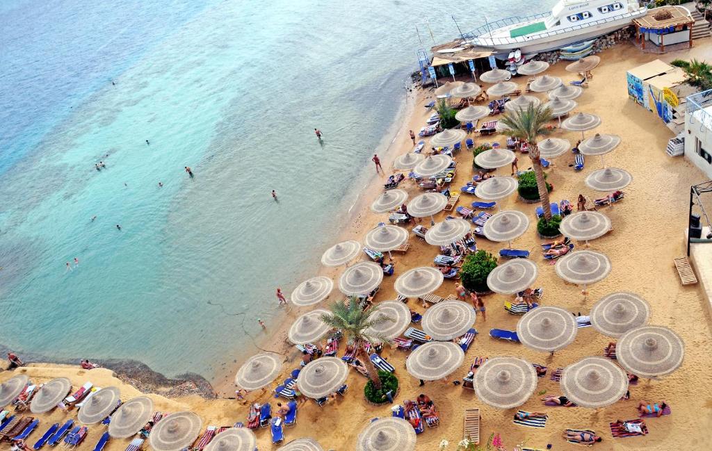 Hurghada, King Tut Aqua Park Beach Resort, 4