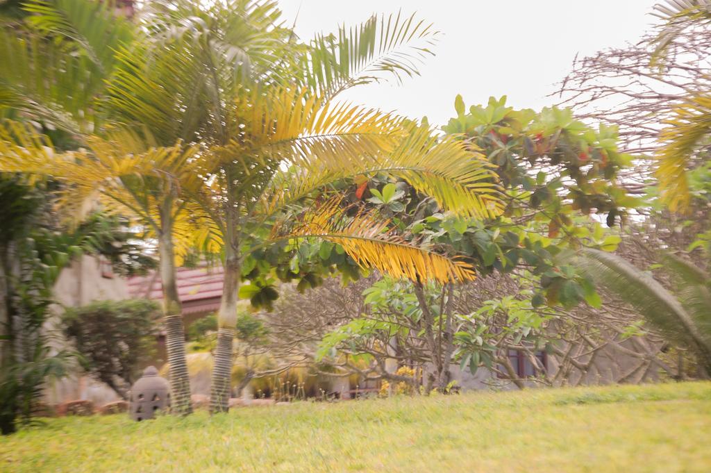 Отзывы гостей отеля Swahili Beach Resort