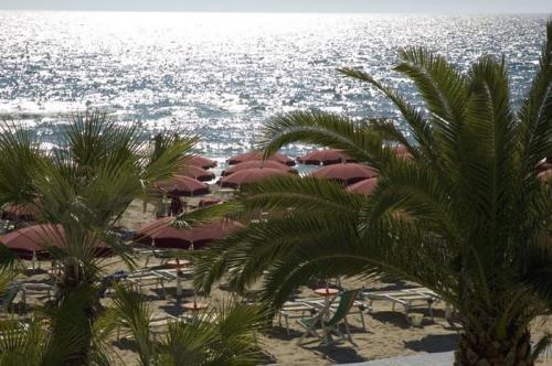 Отдых в отеле Hotel La Playa