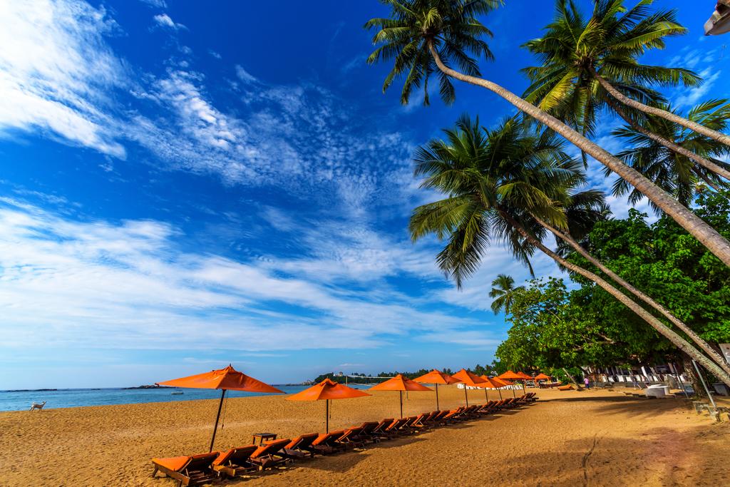 Туры в отель Calamander Unawatuna Beach Унаватуна Шри-Ланка