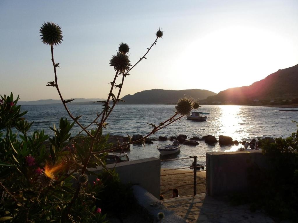 Pefki Beach Front Villa, Греция, Родос (Средиземное побережье), туры, фото и отзывы