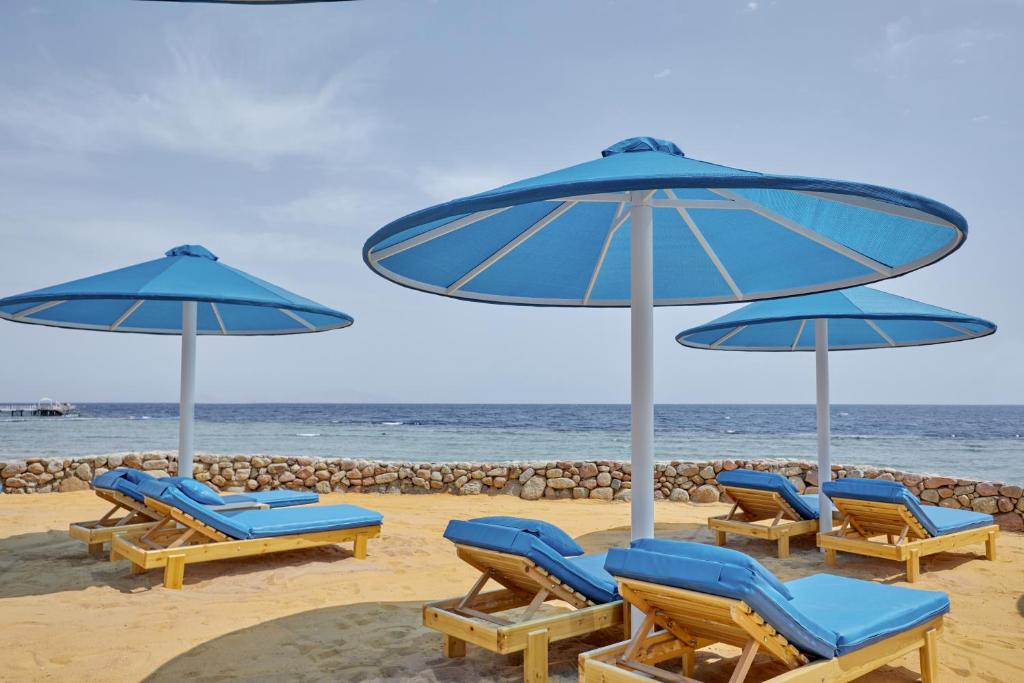 Отзывы туристов Pickalbatros Royal Grand Sharm Resort (Adults Only 16+)