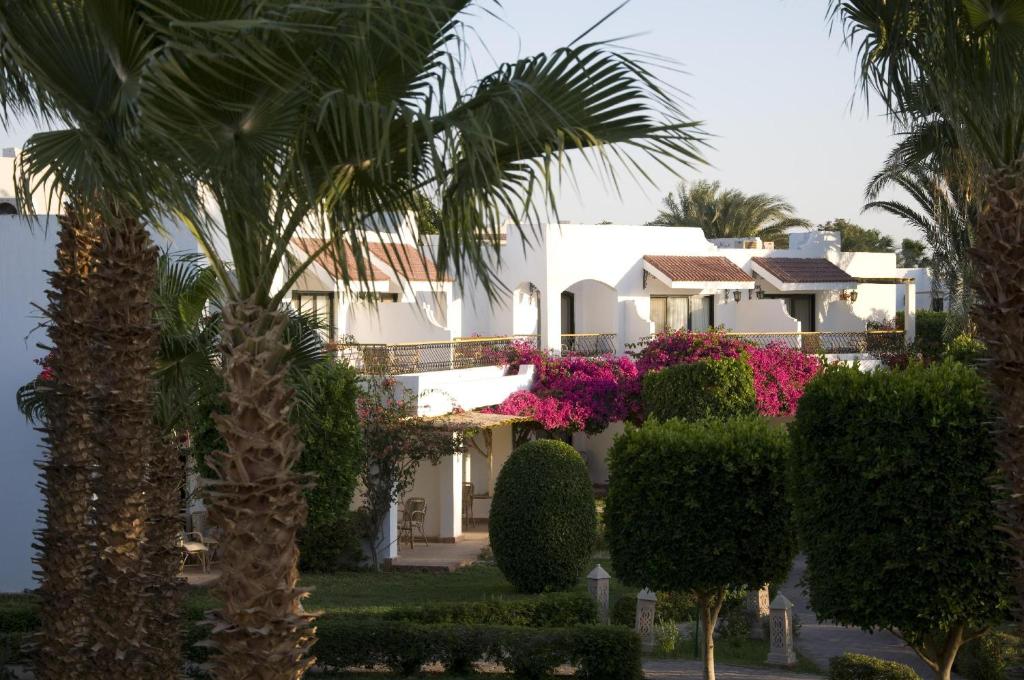 Lotus Bay Resort and Spa, Hurghada prices