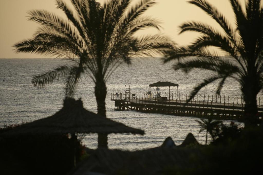 Египет Flamenco Resort