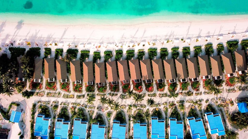 South Palm Resort Maldives, фотографии туристов