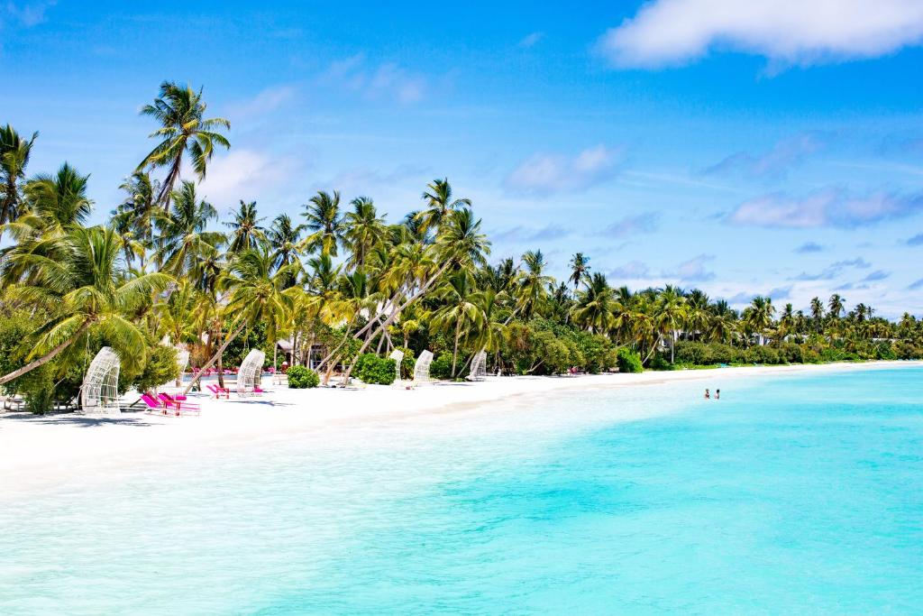 Wakacje hotelowe Kandima Maldives Atol Dhaalu Malediwy