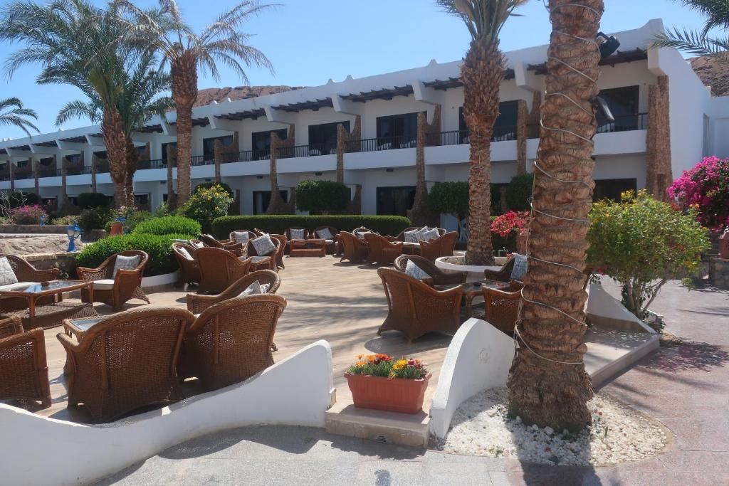 Oferty hotelowe last minute Turquoise Beach Hotel Szarm el-Szejk