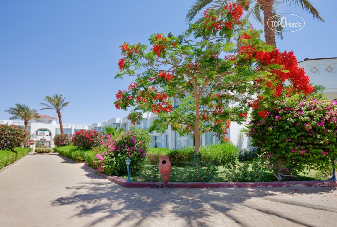 Отзывы туристов Amarante Garden Palms Resort