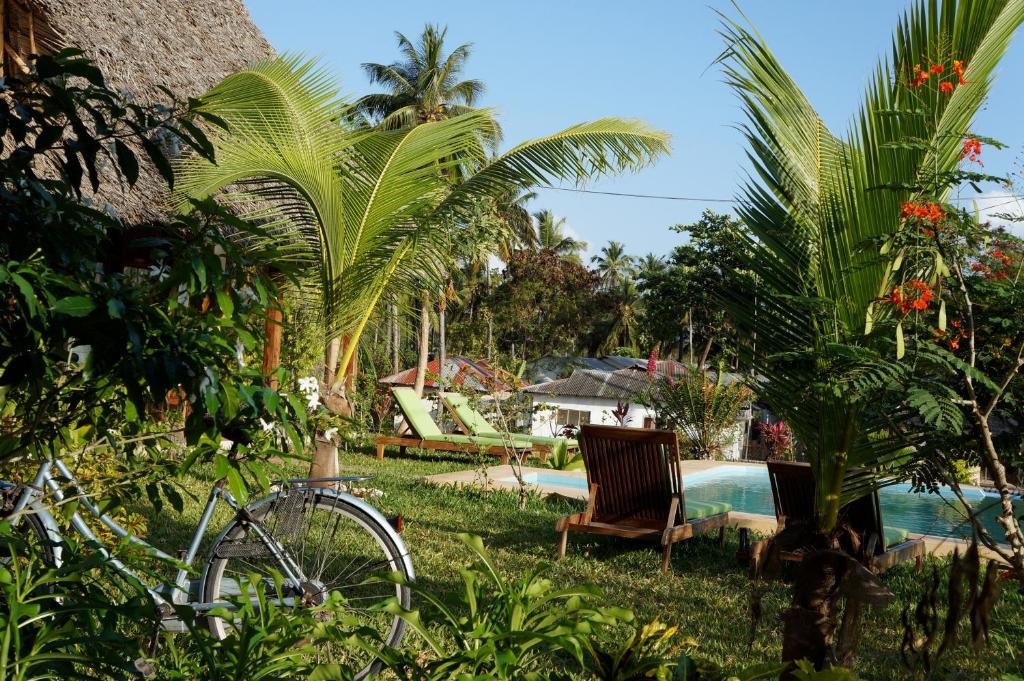 Отзывы про отдых в отеле, Art Hotel Zanzibar