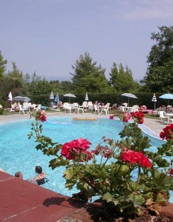 Kassandra Bay Hotel, Греция, Кассандра, туры, фото и отзывы