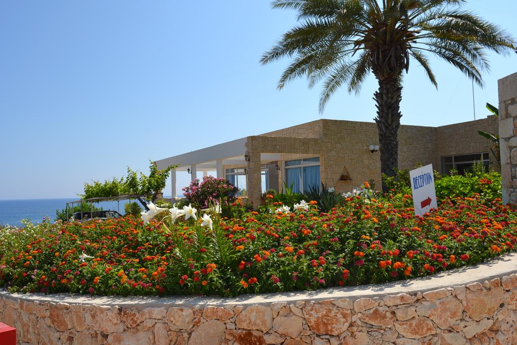 Aphrodite Hotel Beach, Cypr, Polityka
