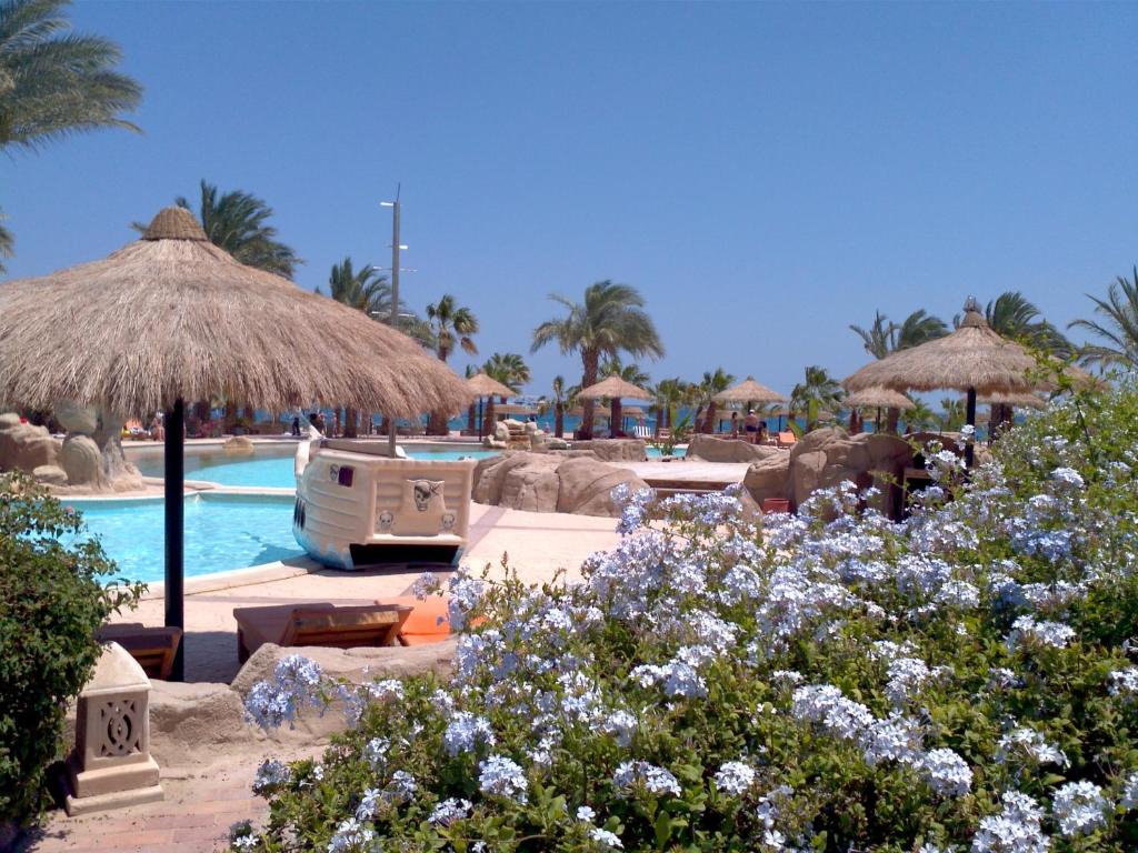 Lotus Bay Resort and Spa Egypt prices