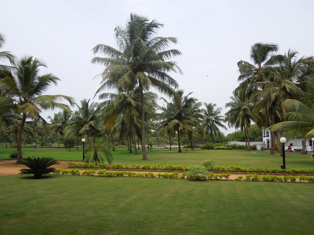 Dona Sylvia Resort, Кавелоссим, Индия, фотографии туров