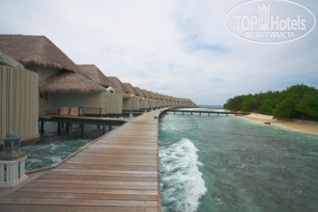 Cinnamon Island Alidhoo, Мальдивы, Хаа Алифу Атолл, туры, фото и отзывы