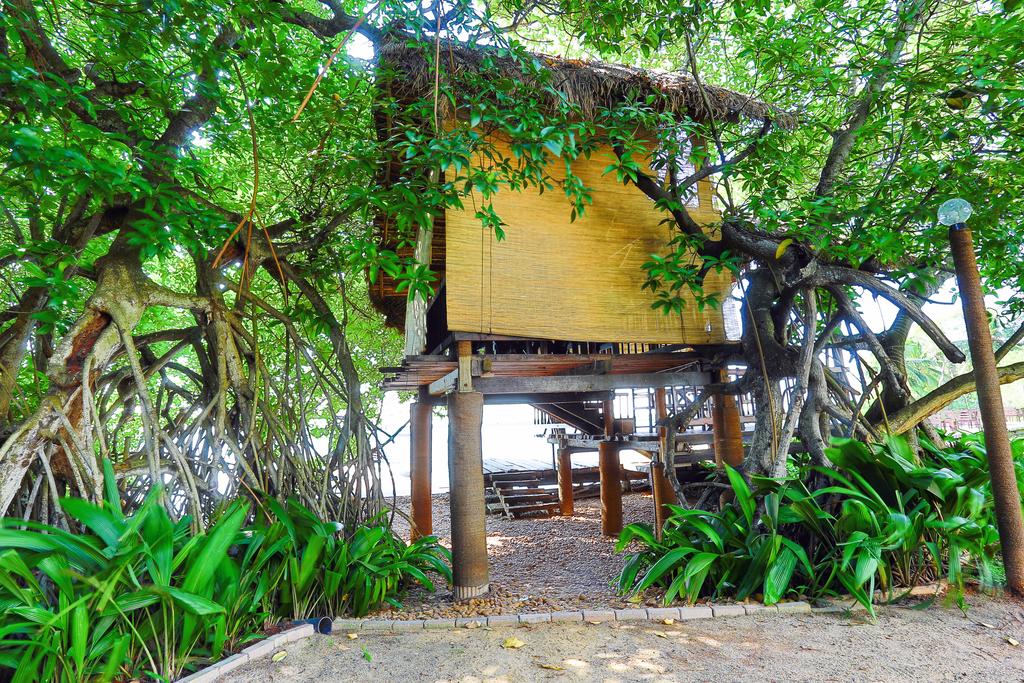 Amagi Aria (ex. Amagi Lagoon Resort & Spa), Negombo, Sri Lanka, zdjęcia z wakacje