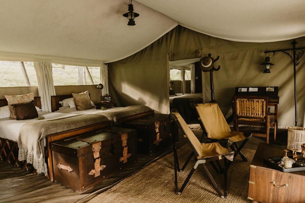 Elewana Serengeti Pioneer Camp, Танзания, Национальный парк Серенгети, туры, фото и отзывы