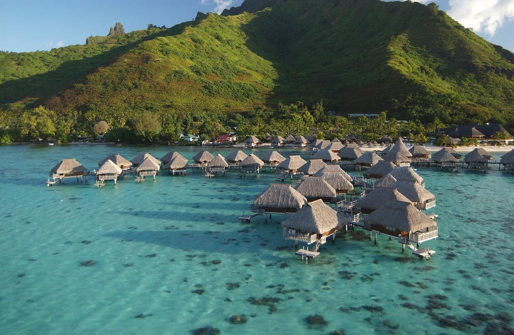 Туры в отель Hotel Hilton Moorea Lagoon Resort Муреа Французская Полинезия (Франция)