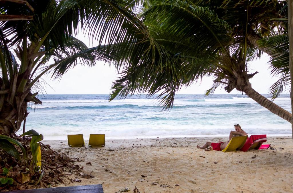 Surfers Self Catering Chalets Takamaka, Маэ (остров), Сейшелы, фотографии туров