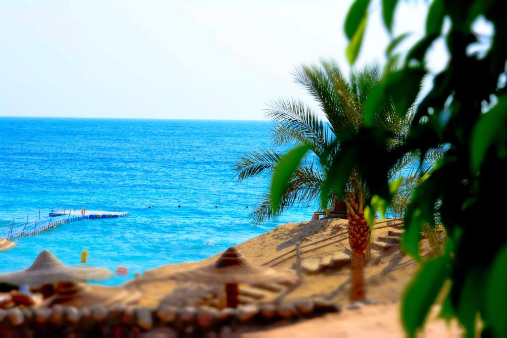 Royal Monte Carlo Sharm Resort, 5, фотографії