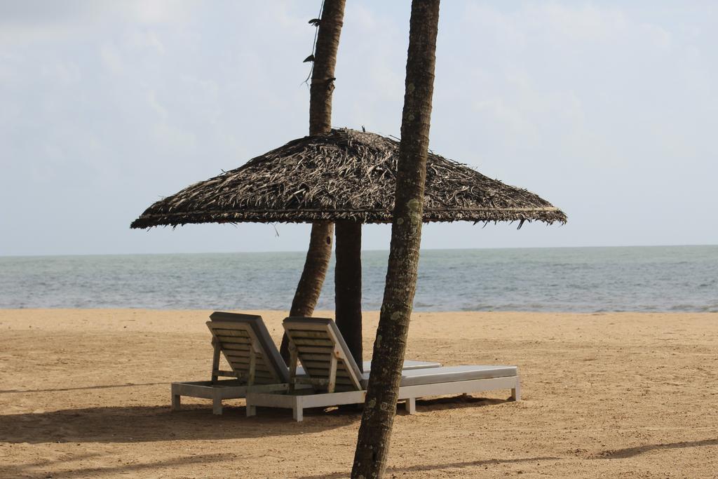 Malabar Ocean Front Resort & Spa, фотографии туристов