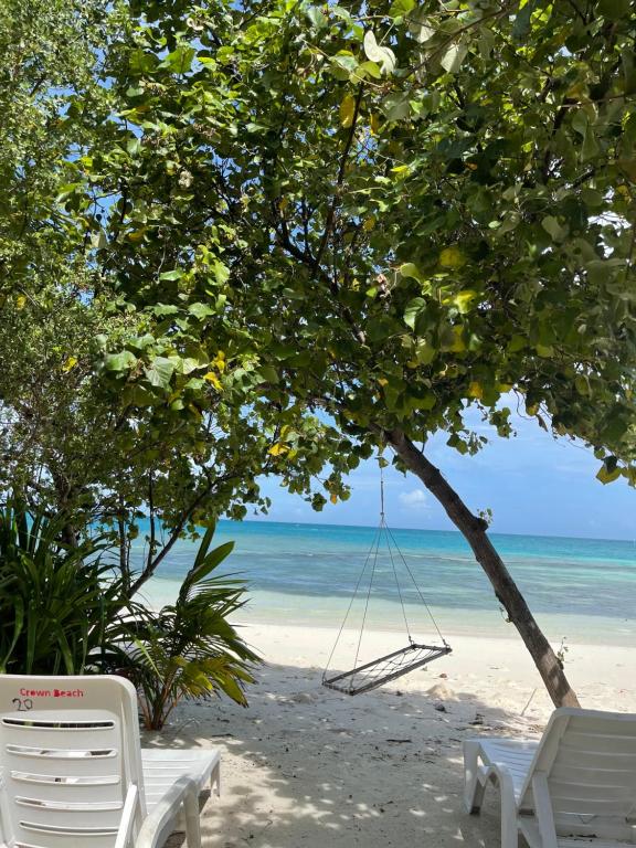 Туры в отель Ocean Villa With Pool & Spa Каафу Атолл Мальдивы
