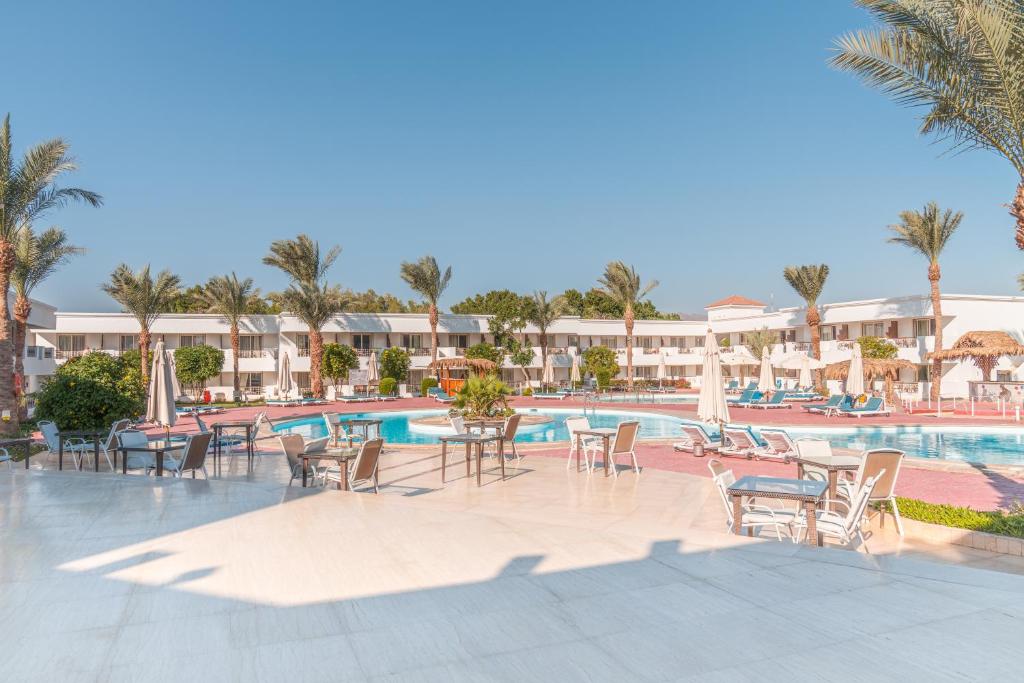 Отзывы про отдых в отеле, Viva Sharm Hotel