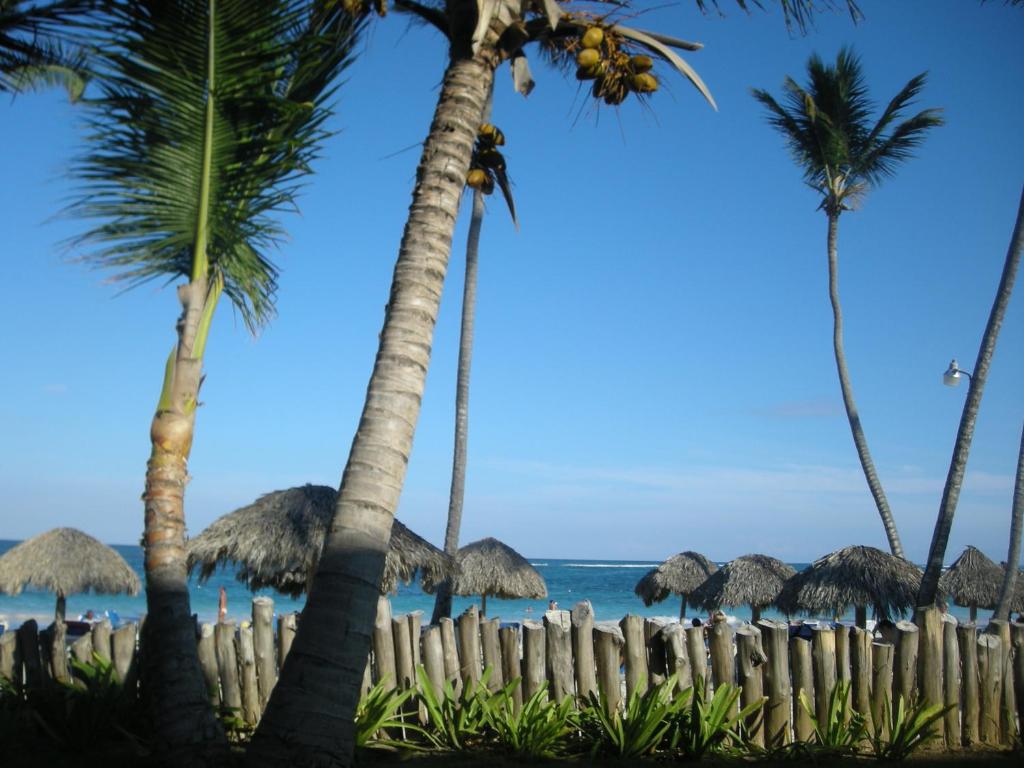 Vik Hotel Cayena Beach Доминиканская республика цены