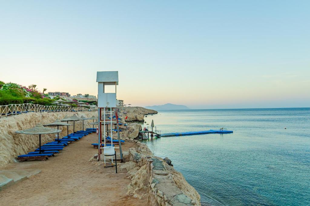 Siva Sharm (ex. Savita Resort), фотографії
