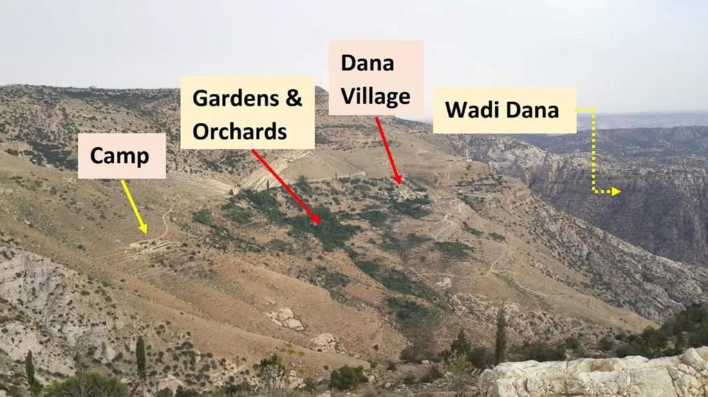 Wadi Dana Eco-camp, Дана, фотографії турів
