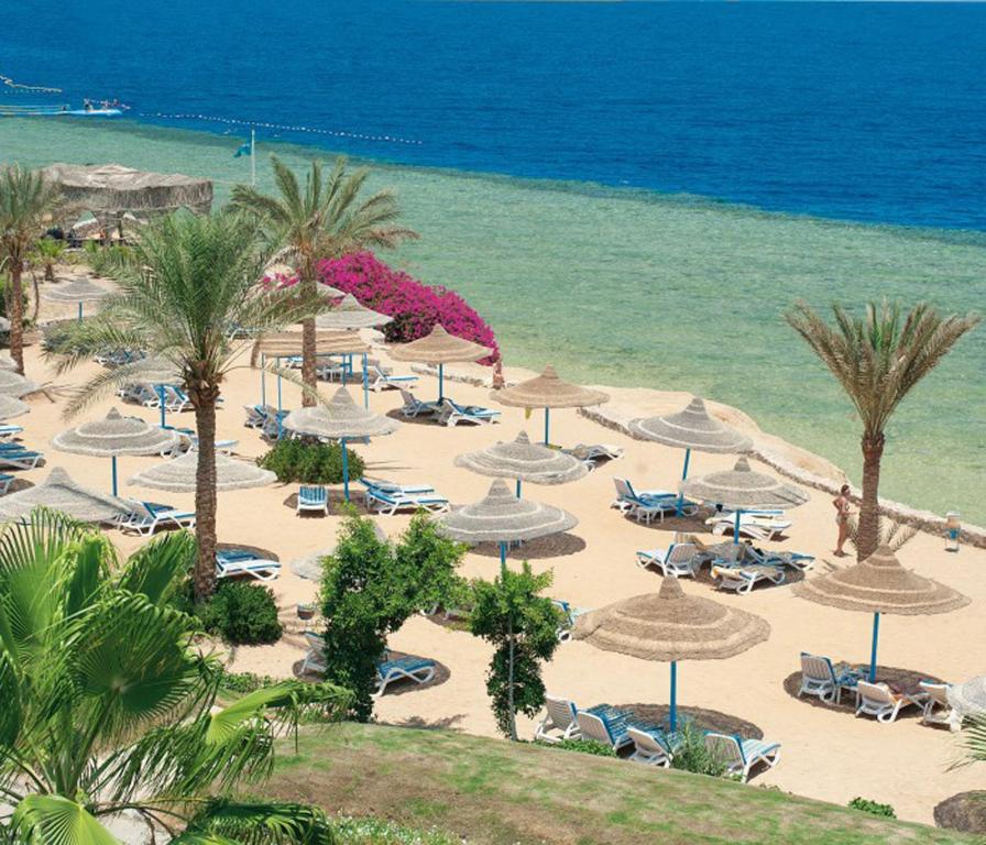 Queen Sharm Resort (ex. Vera Club Queen Sharm Beach), Egipt, Szarm el-Szejk, wakacje, zdjęcia i recenzje