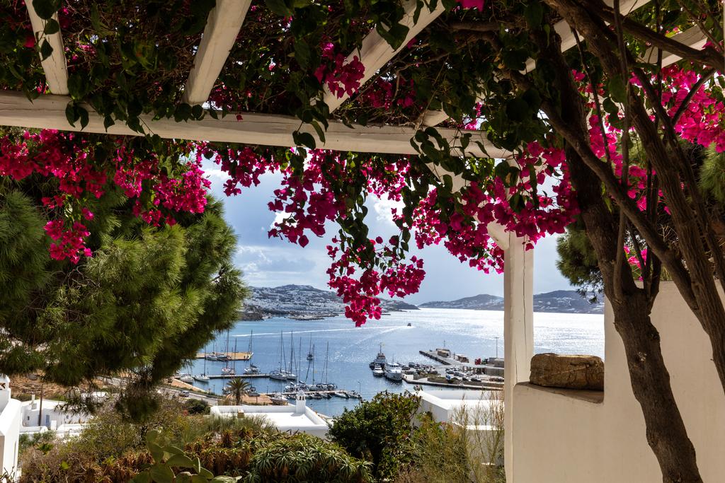 Горящие туры в отель Rhenia Миконос (остров) Греция