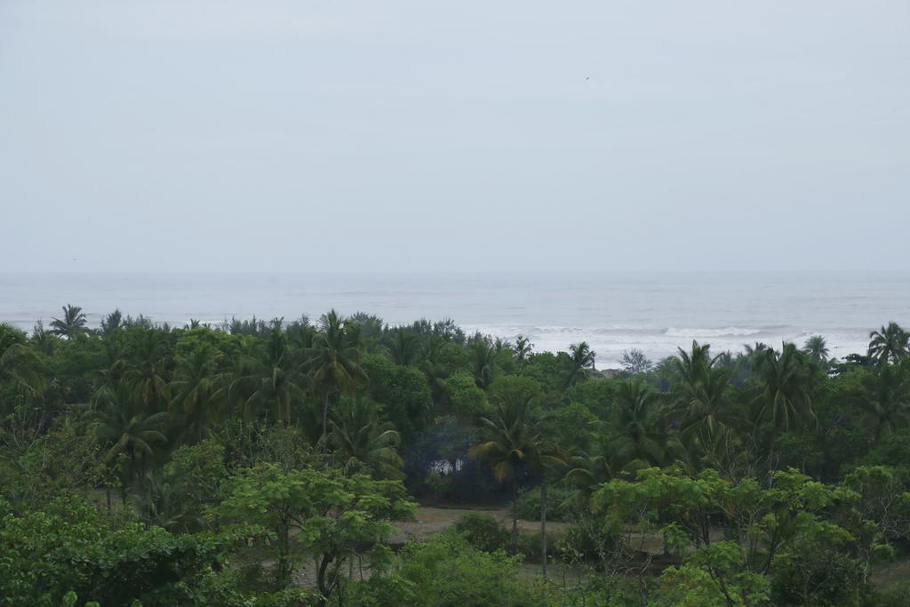Wakacje hotelowe Samira Sea View Morjim Indie