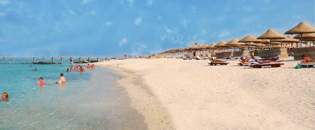 Отдых в отеле Onatti Beach Resort (Adults Only 16+) Эль-Кусейр Египет