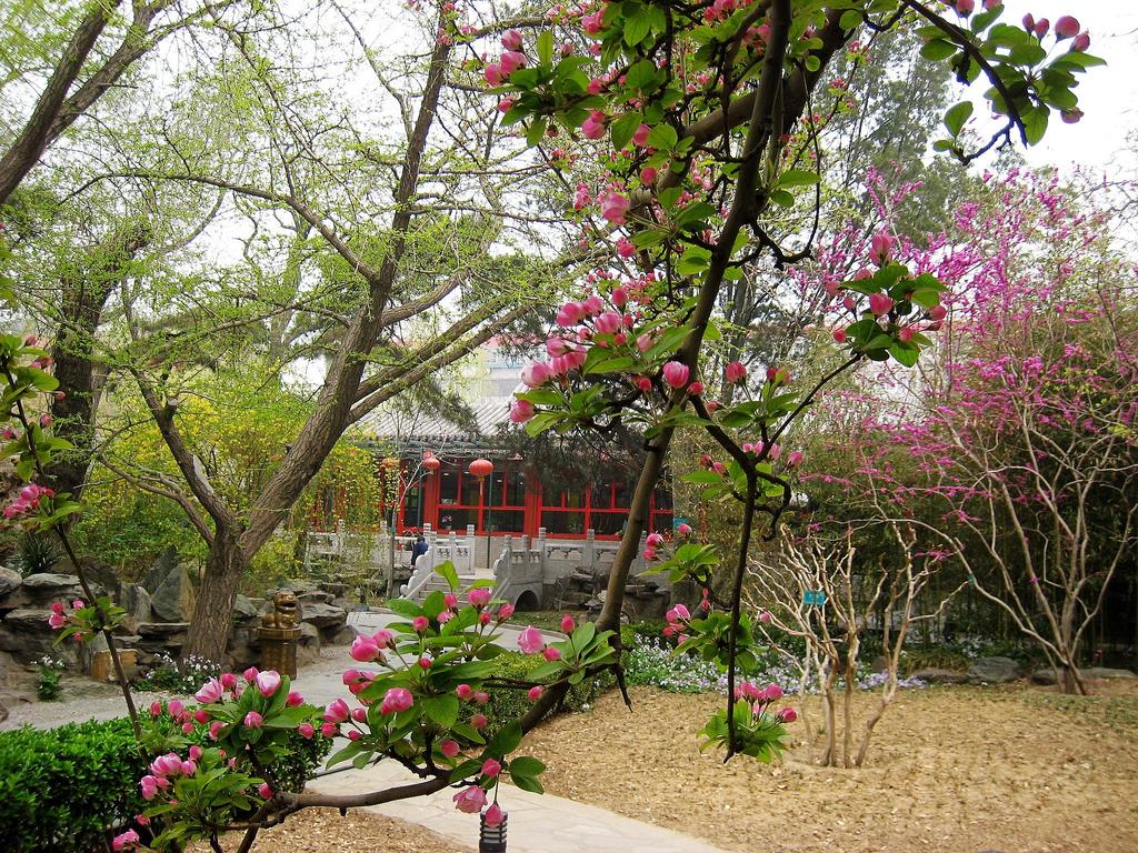 Отдых в отеле Bamboo Garden Hotel Пекин