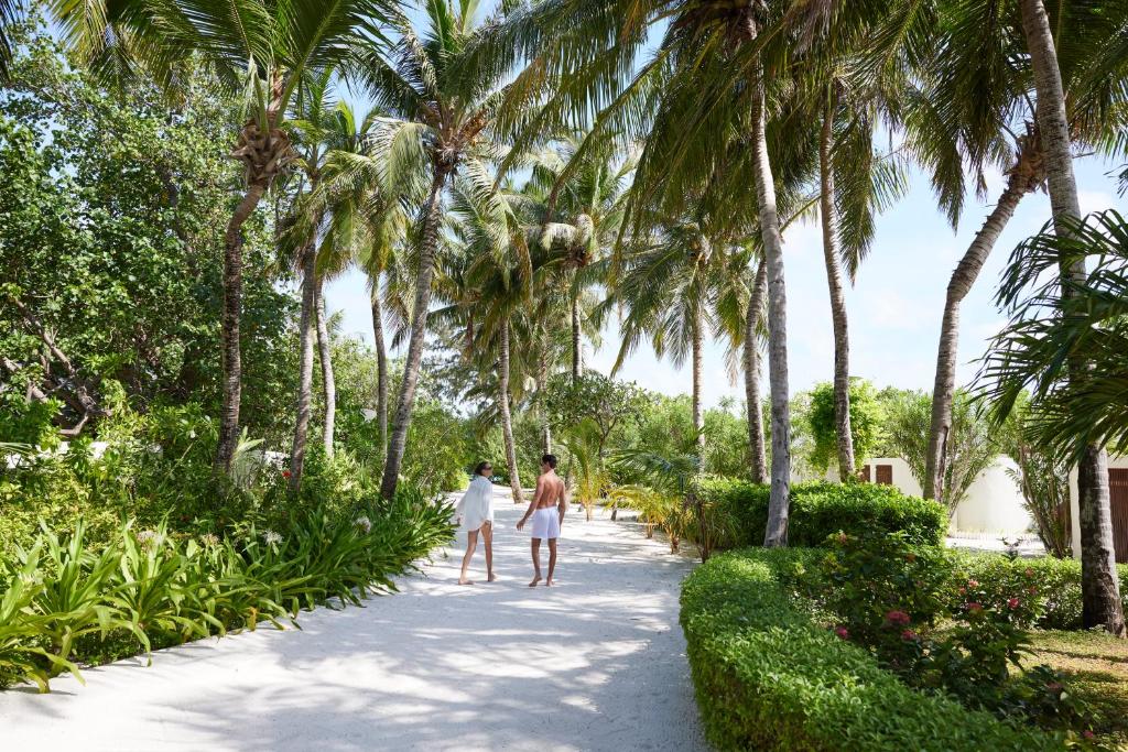 Hotel, Północny Atol Male, Malediwy, Centara Ras Fushi Resort & Spa (Adults Only 12+)
