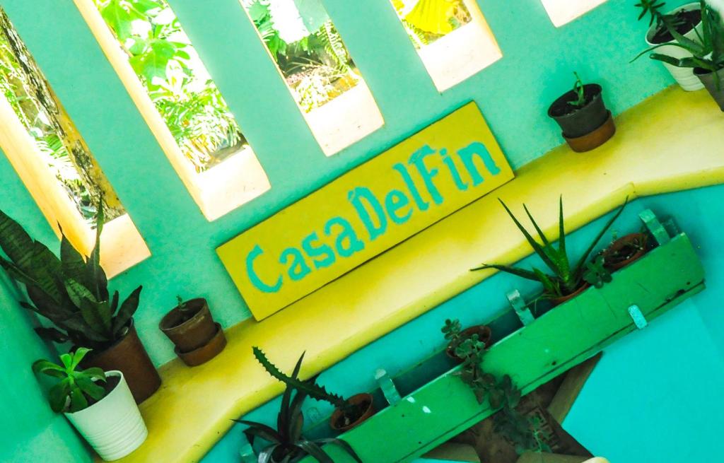 Горящие туры в отель Casa Delfin Guest House Лас-Терренас Доминиканская республика