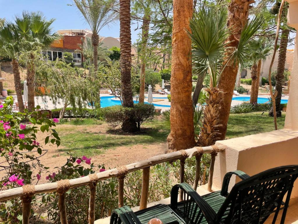 Soulotel Blue Inn Resort & Spa (ex. Blue Lagoon Resort & Aqua Park), Египет, Марса Алам, туры, фото и отзывы