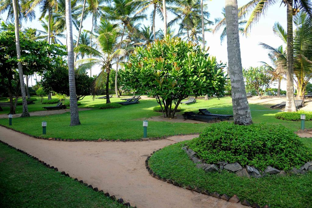 Шрі-Ланка Palm Village Hotel