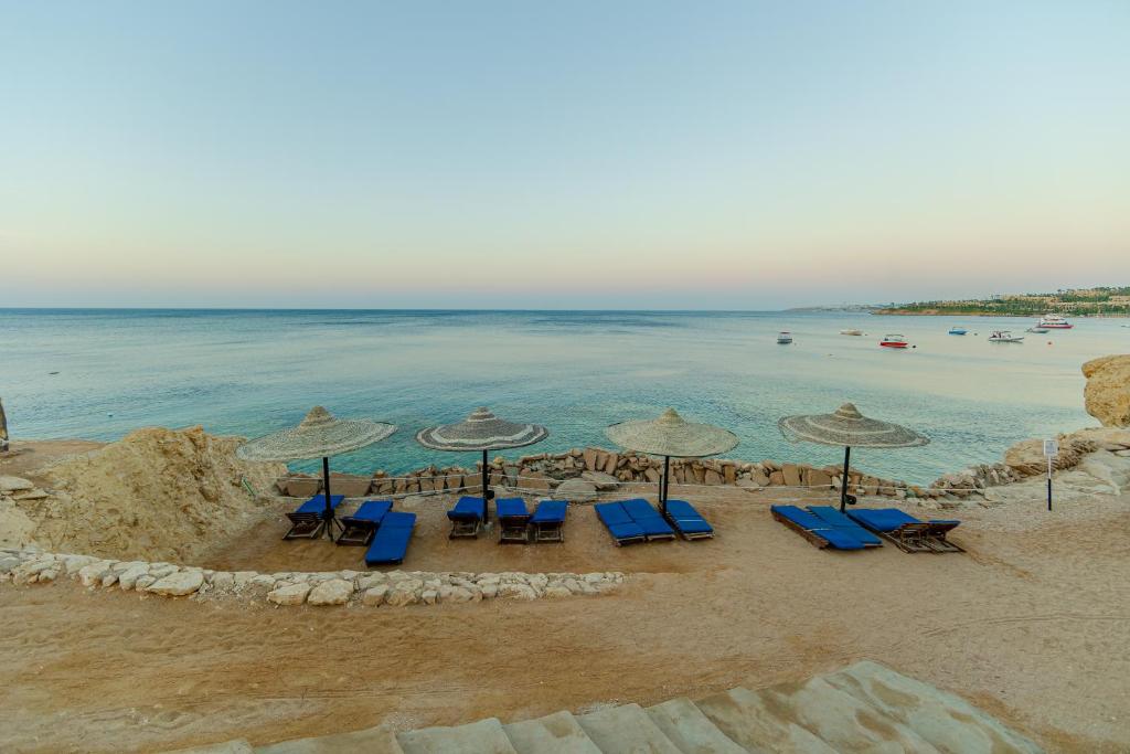 Горящие туры в отель Siva Sharm (ex. Savita Resort)